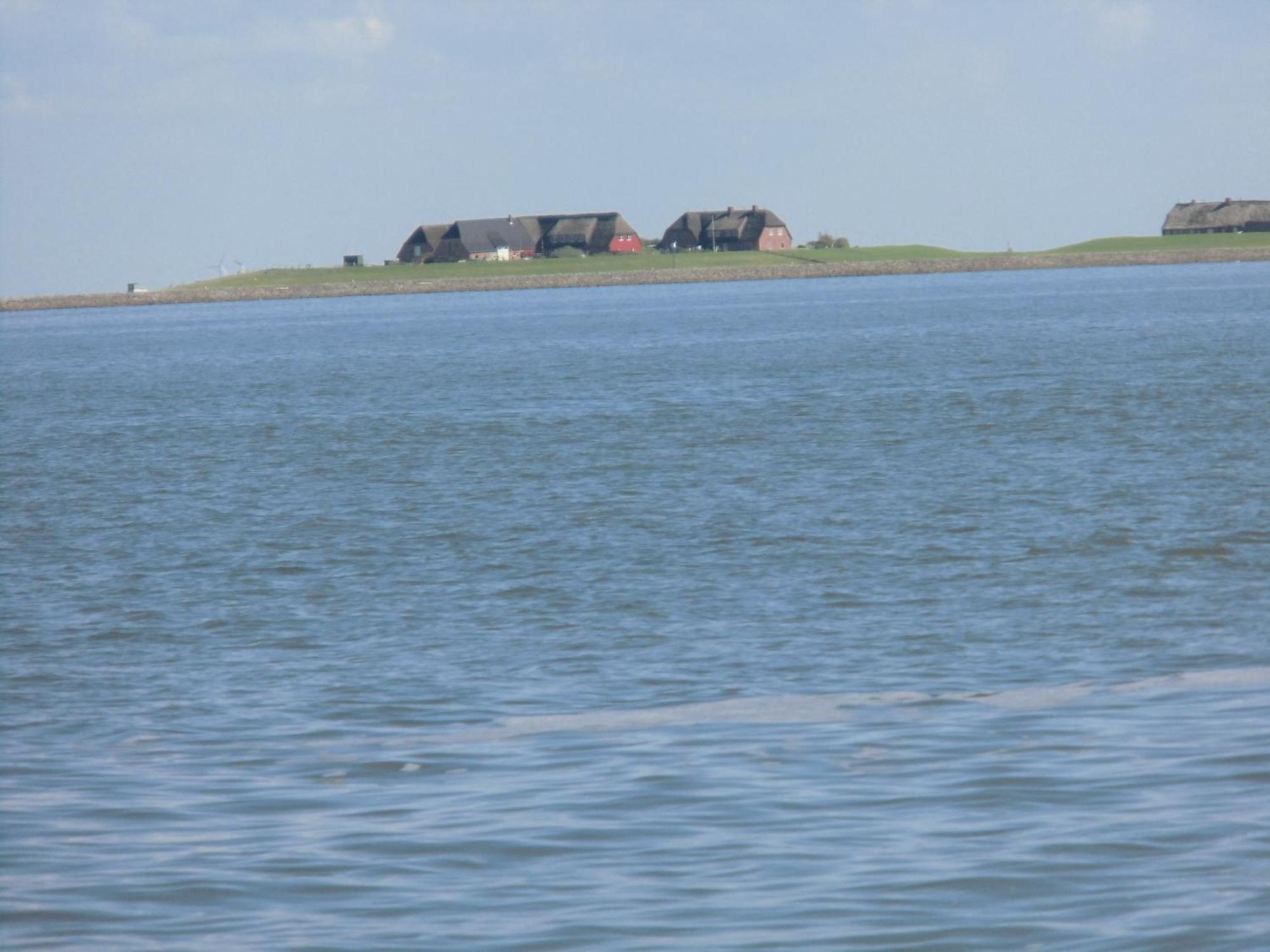 Haus Halligblick, Ferienwohnungen Am Wattenmeer, Whg Langenness Dagebuell Ngoại thất bức ảnh