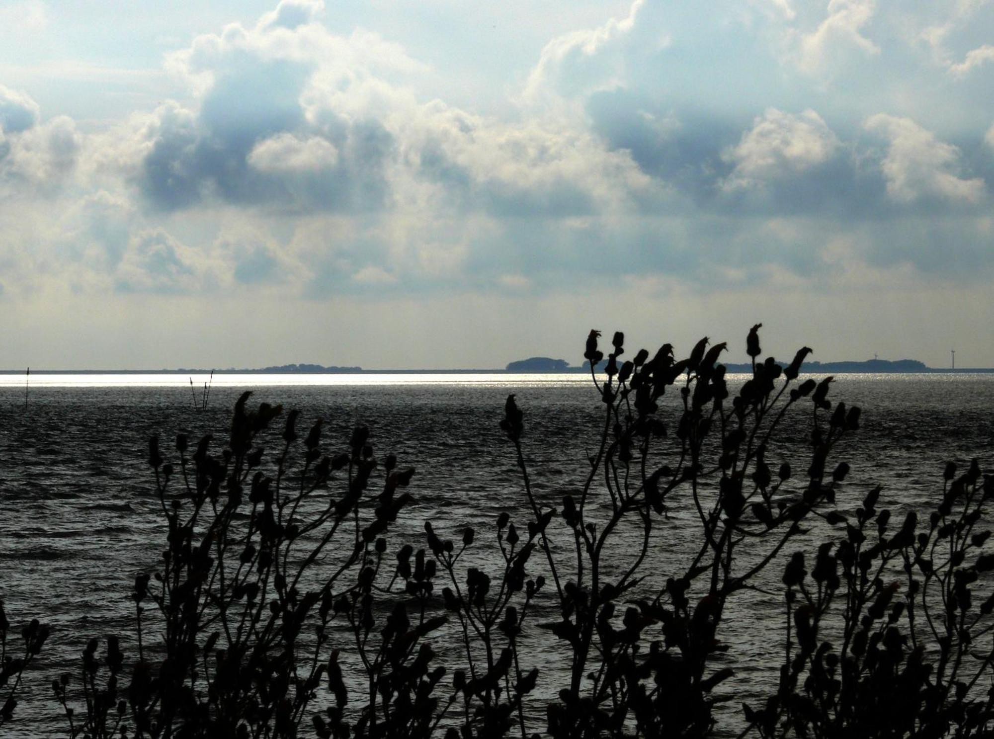 Haus Halligblick, Ferienwohnungen Am Wattenmeer, Whg Langenness Dagebuell Ngoại thất bức ảnh